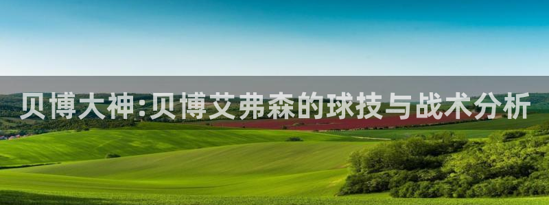 门徒娱乐app哪个模式容易赢：贝博大神:贝博艾弗森的球技与战术分析