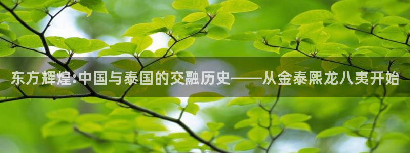 门徒娱乐平台官网入口下载：东方辉煌:中国与泰国的交融历史——从金泰熙龙八夷开始