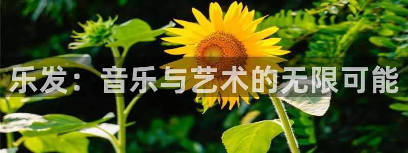 门徒娱乐加拿大在线预测：乐发：音乐与艺术的无限可能