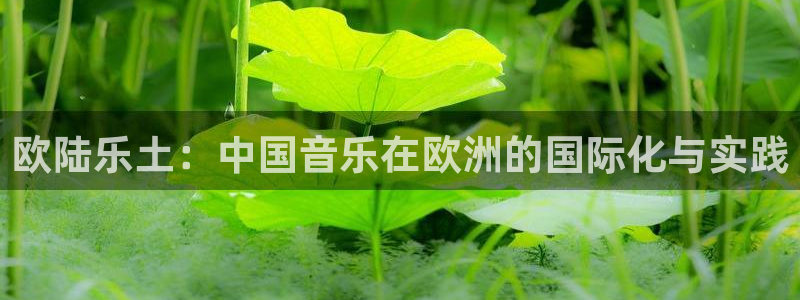 门徒娱乐注册入口与教程：欧陆乐土：中国音乐在欧洲的国际化与实践