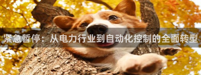 门徒娱乐在线下载：紧急暂停：从电力行业到自动化控制的全面转型