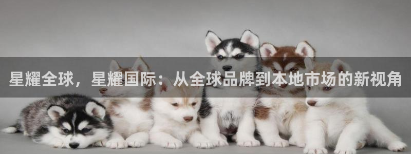门徒娱乐k：星耀全球，星耀国际：从全球品牌到本地市场的新视角