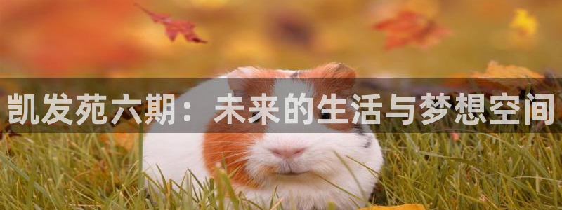 门徒娱乐注册平台：凯发苑六期：未来的生活与梦想空间