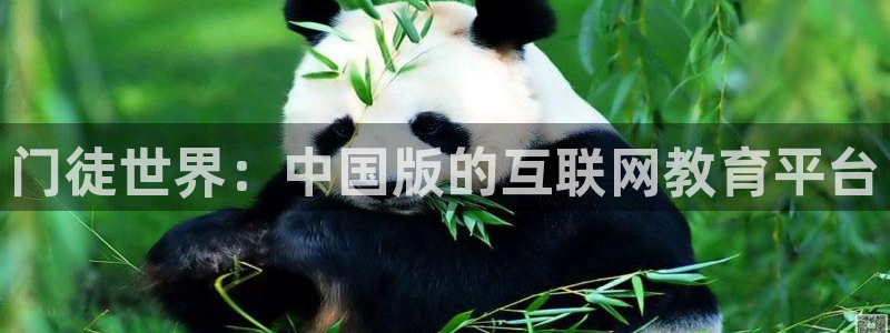 门徒娱乐凯捷开号链接：门徒世界：中国版的互联网教育平台