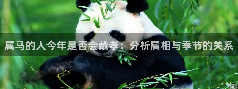 门徒娱乐.ccm官网版：属马的人今年是否会戴孝：分析属相与季节的关系