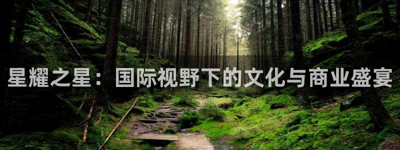 门徒娱乐有梦你就来：星耀之星：国际视野下的文化与商业盛宴