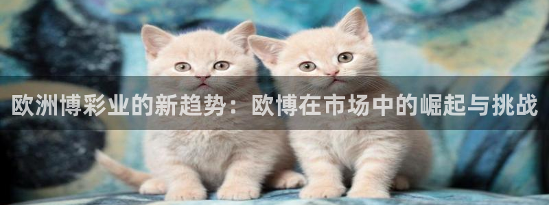 门徒娱乐是什么：欧洲博彩业的新趋势：欧博在市场中的崛起与挑战