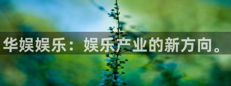 门徒娱乐下载入口：华娱娱乐：娱乐产业的新方向。