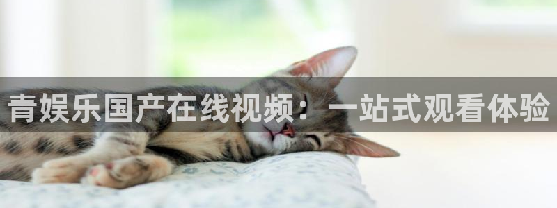 门徒娱乐平台官方入口下载：青娱乐国产在线视频：一站式观看体验