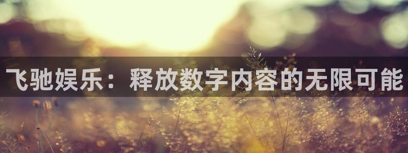 门徒娱乐ccm麻将胡了：飞驰娱乐：释放数字内容的无限可能