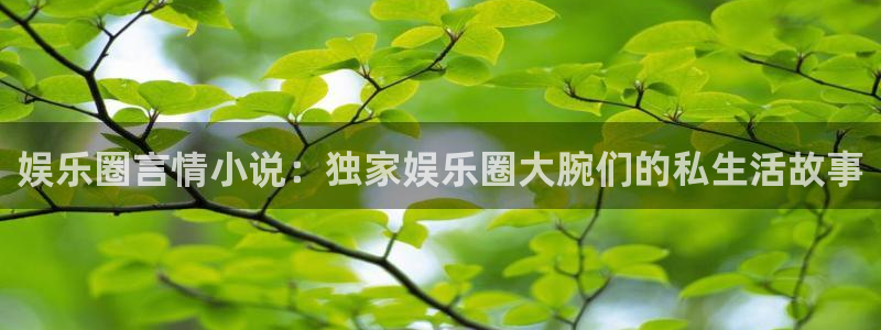 门徒娱乐注册网页版：娱乐圈言情小说：独家娱乐圈大腕们的私生活故事