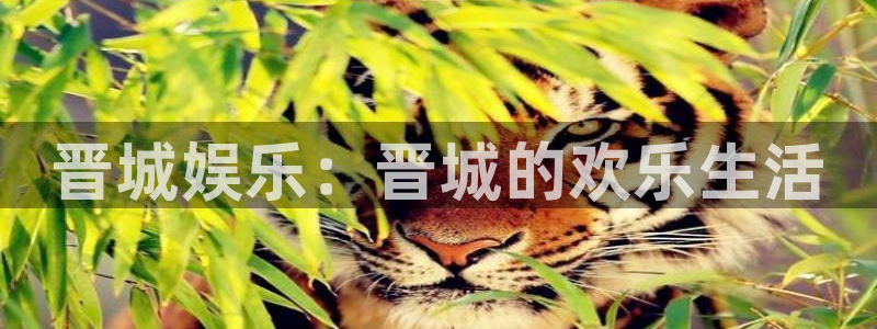 门徒娱乐的平台：晋城娱乐：晋城的欢乐生活