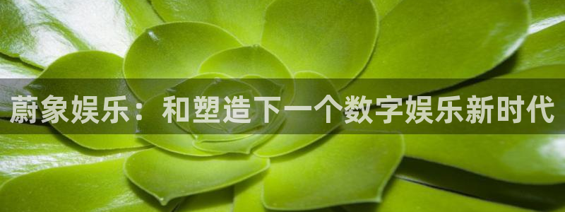 门徒娱乐平台官网入口下载：蔚象娱乐：和塑造下一个数字娱乐新时代