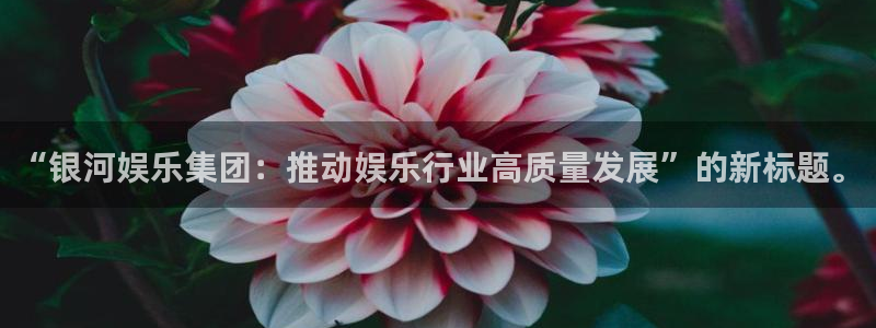 门徒娱乐平台注册：“银河娱乐集团：推动娱乐行业高质量发展”的新标题。