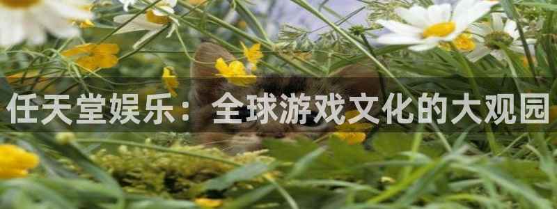 门徒娱乐体育代理：任天堂娱乐：全球游戏文化的大观园