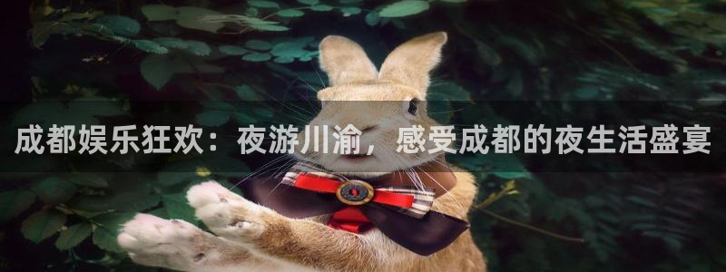 门徒娱乐包怎么样：成都娱乐狂欢：夜游川渝，感受成都的夜生活盛宴